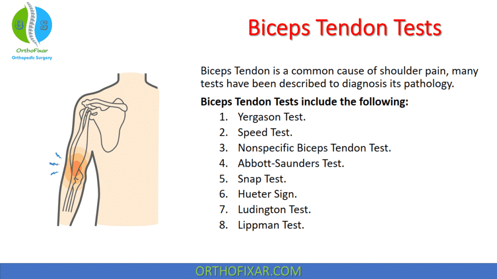 Biceps Tendon Tests Orthofixar