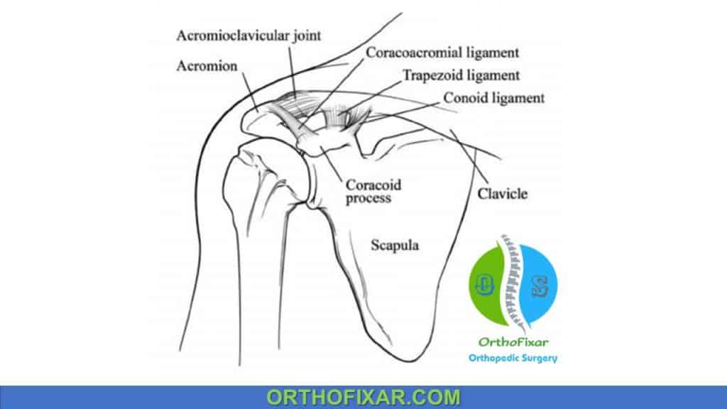 AC joint