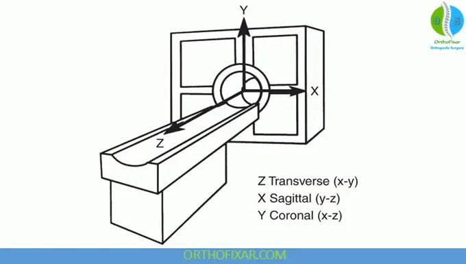 Anatomical Planes in Radiology