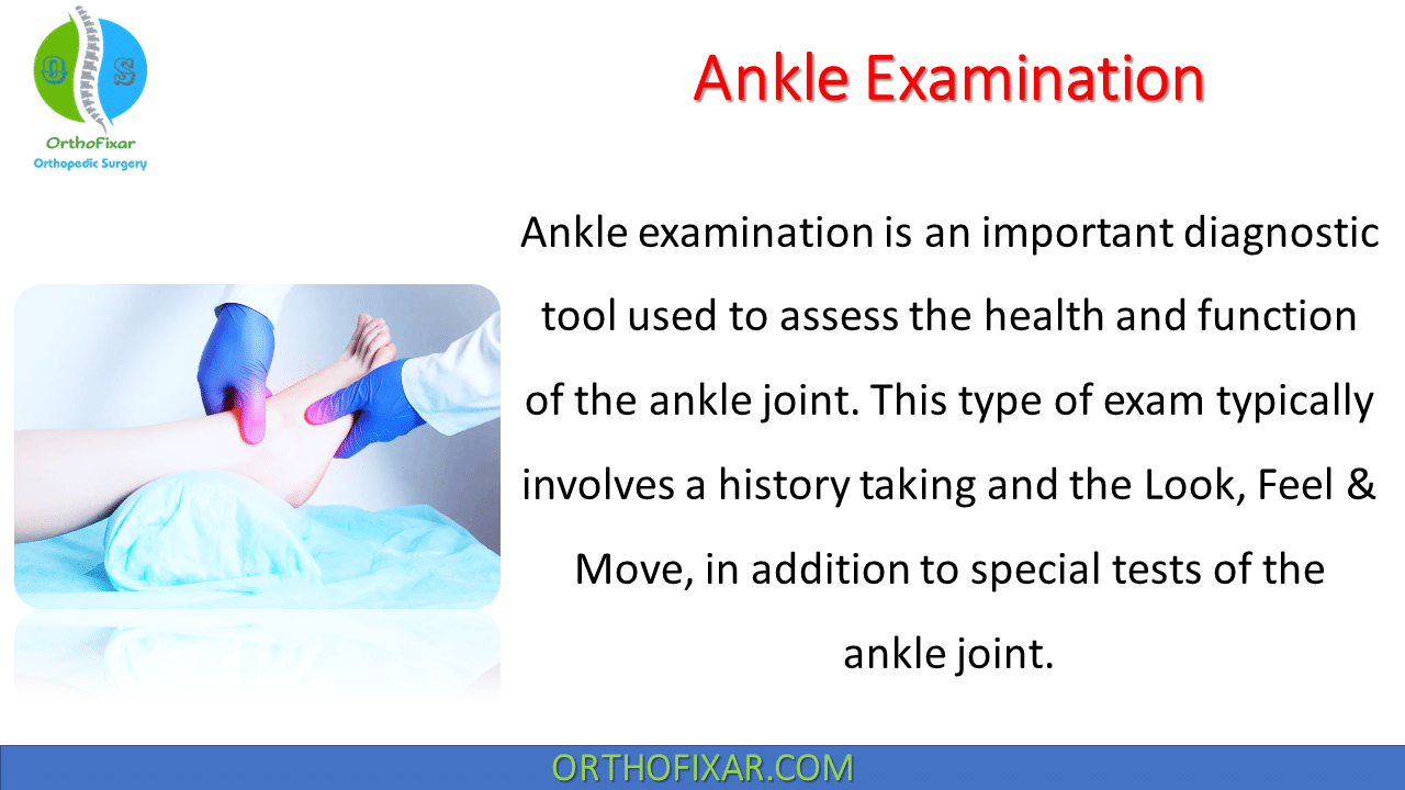  Ankle Examination 