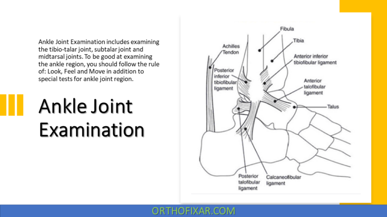 Ankle Joint Examination