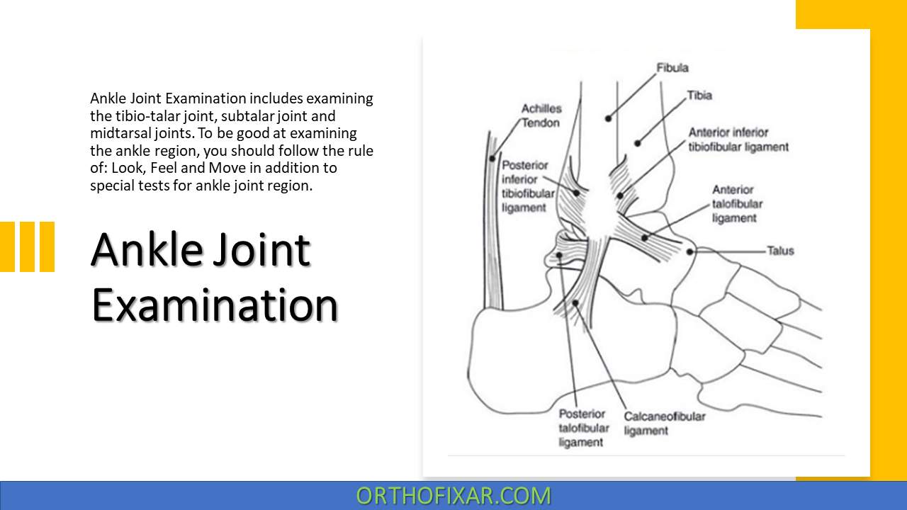  Ankle Joint Examination 