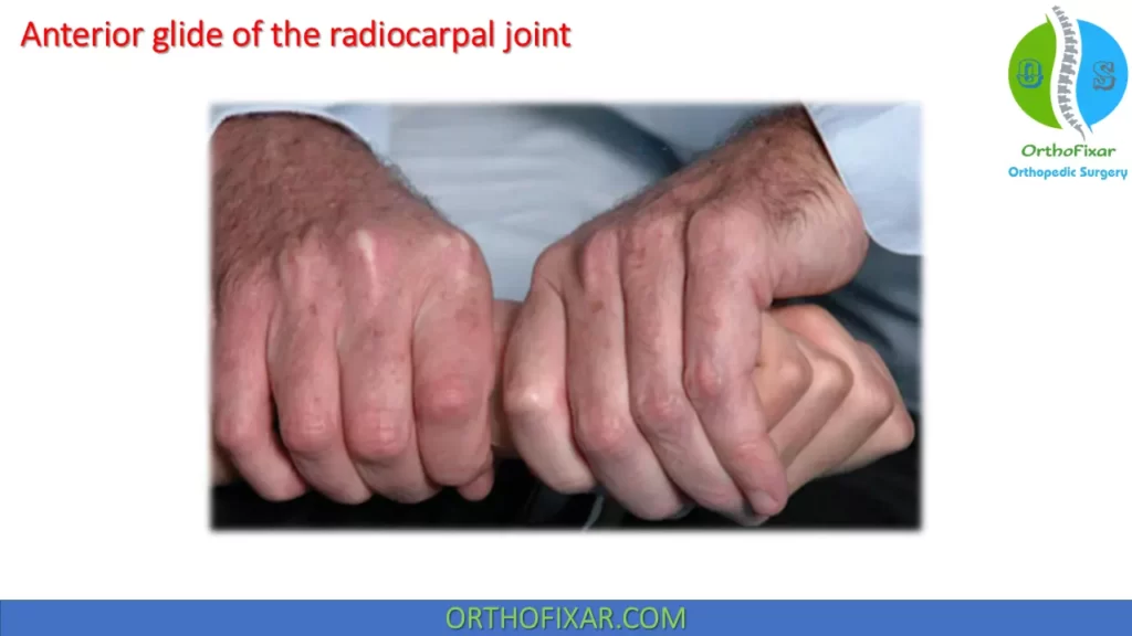 Anterior glide of the radiocarpal joint