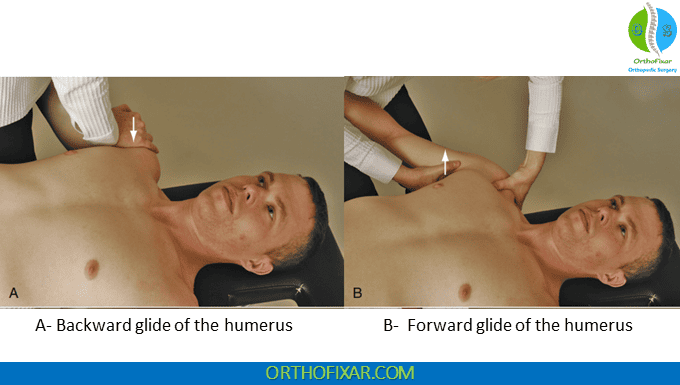 Backward & forward Movement