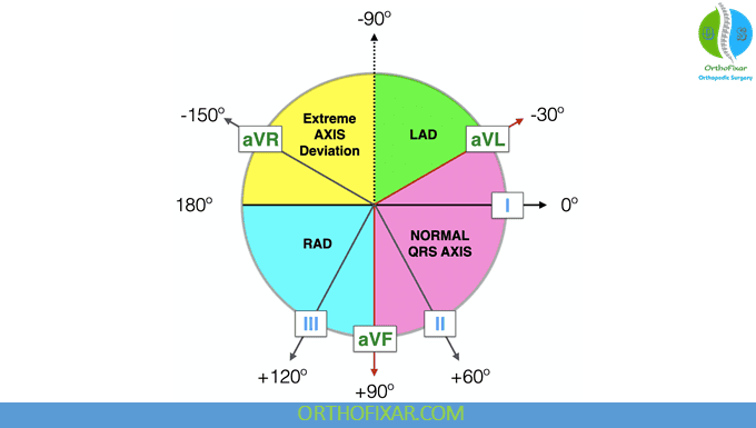 ECG Interpretation for Medical Students: Rate, Rhythm and Axis 9 Cardiac Axis