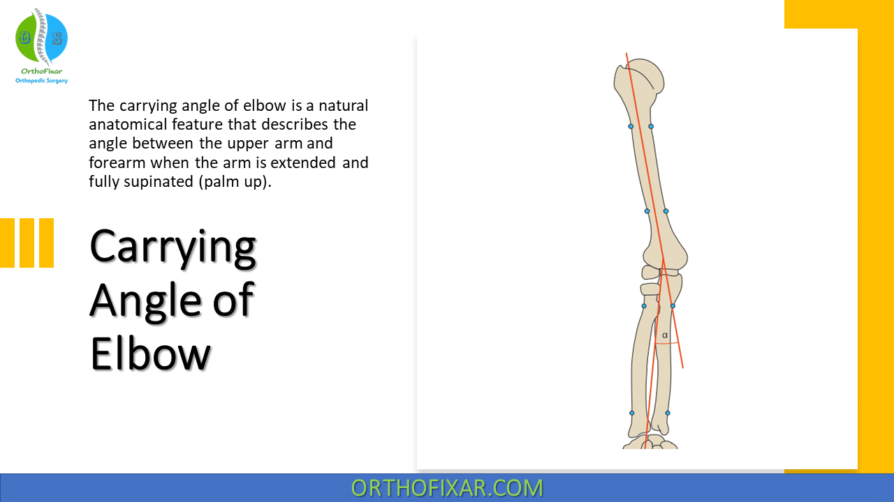 Carrying Angle of Elbow