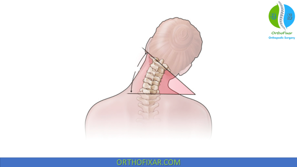 Cervical ROM lateral bending