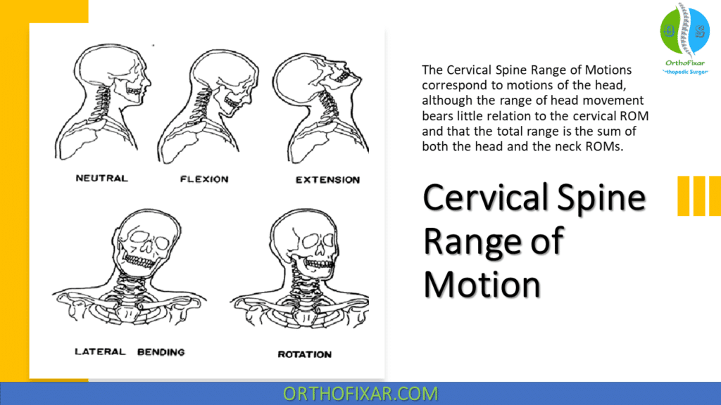 Cervical Spine Range Of Motion Orthofixar 2025