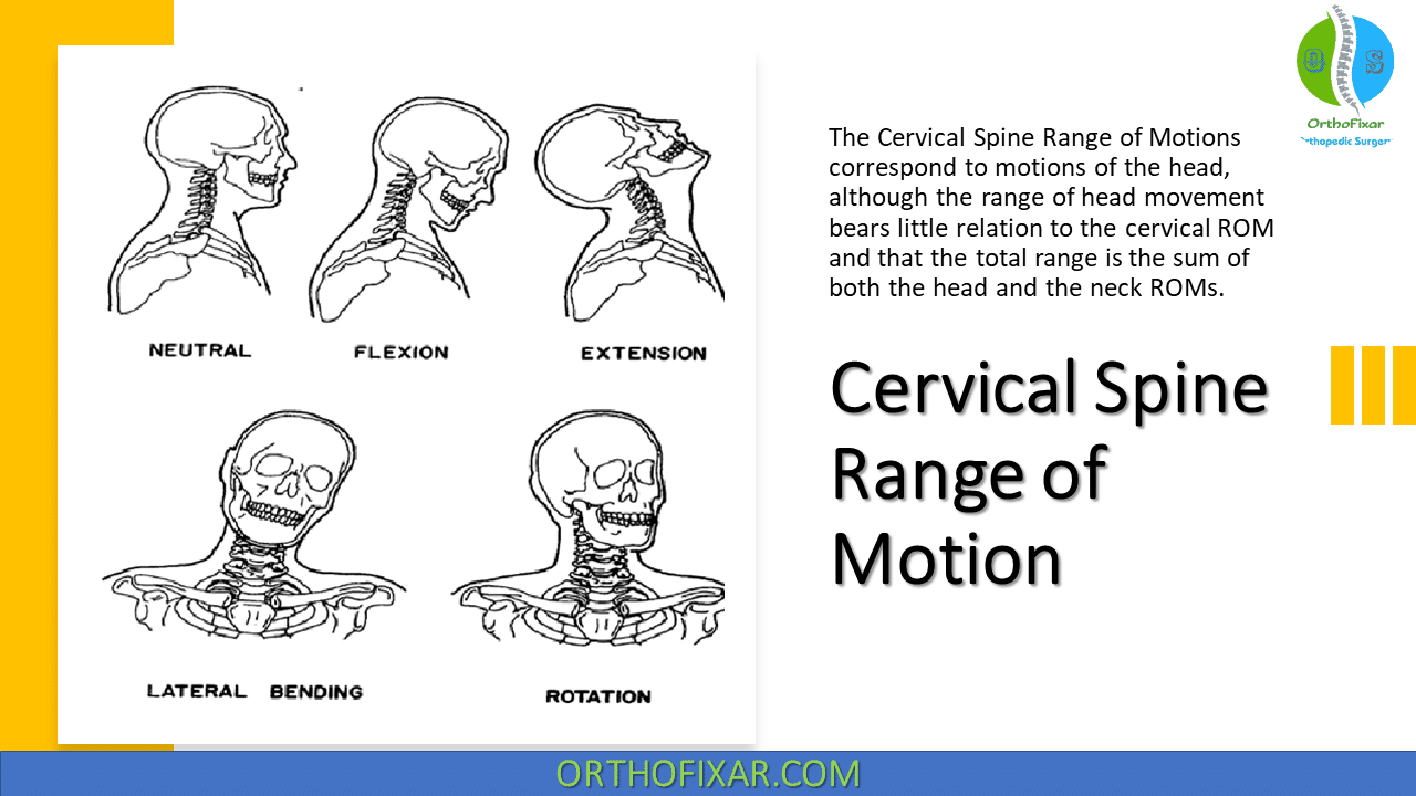  Cervical Spine Range of Motion 