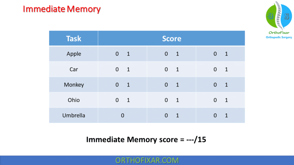 Cognitive Test - Immediate Memory