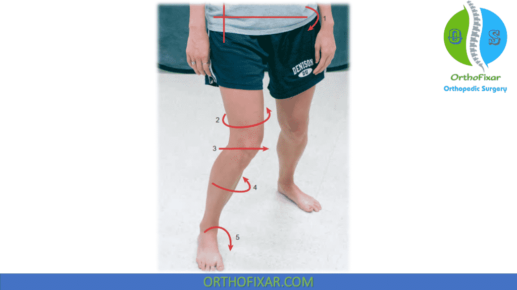 Contributors of lower extremity segments to abnormal