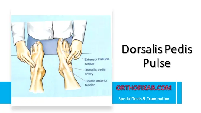 Dorsalis Pedis Pulse Location & Palpation