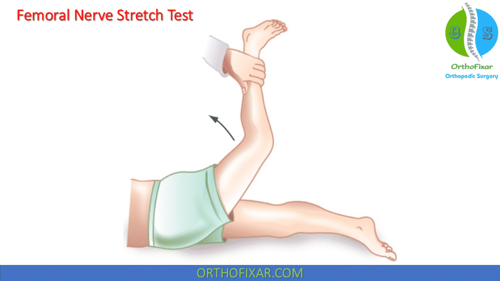 Femoral Nerve Stretch Test lumbar spine