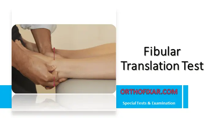 Fibular Translation Test