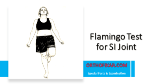 Flamingo Test for SI Joint