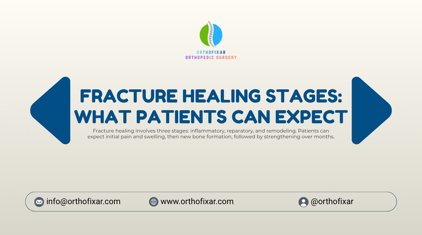 Fracture Healing Stages What Patients Can
