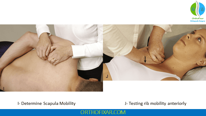 General movement of the scapula to determine mobility & testing rib mobility anteriorly