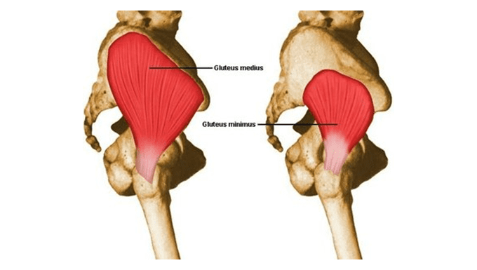 Gluteus Minimus Pain Treatment | 2025