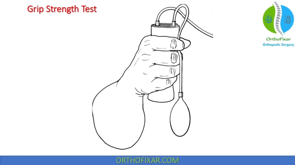 Grip Strength Test