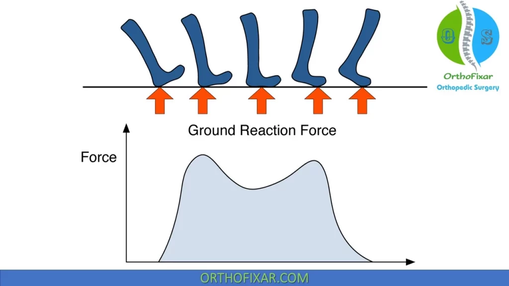Ground reaction forces