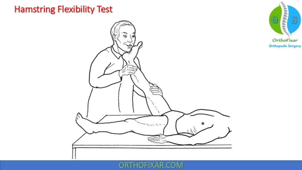 Hamstring Flexibility test