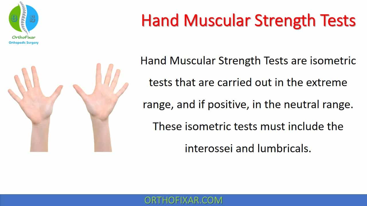 Strength Isometric Test: Wrist Grip Strength