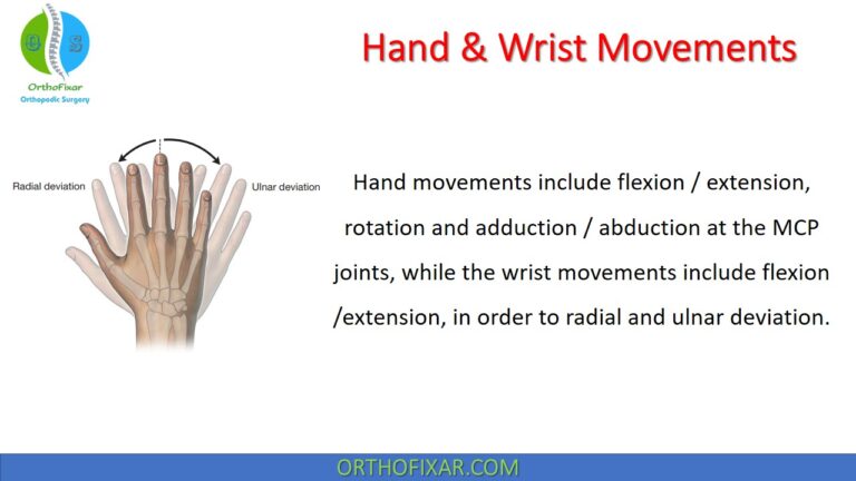 Hand and Wrist Movements