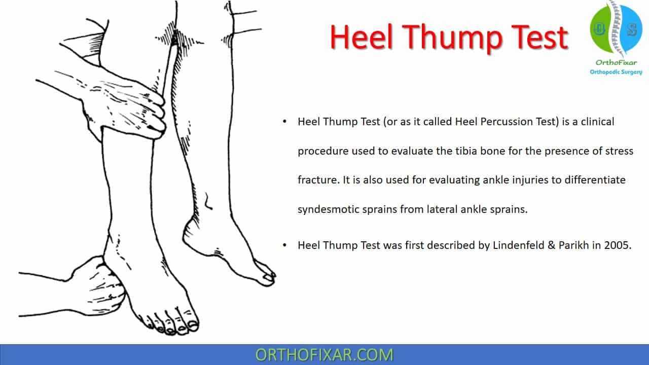  Heel Thump Test 