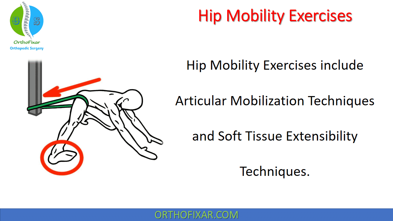 Hip Mobility Exercises