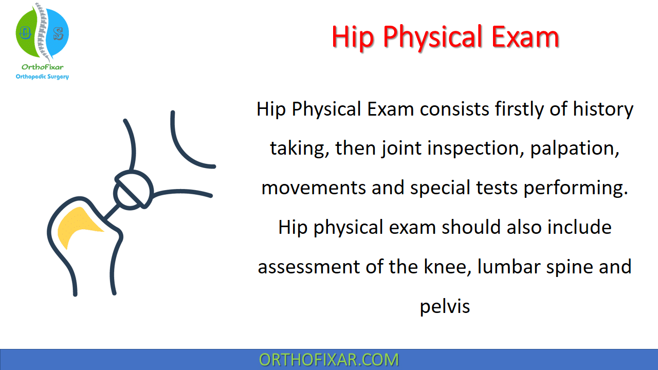 Hip Physical Exam Full Tutorial OrthoFixar 2024