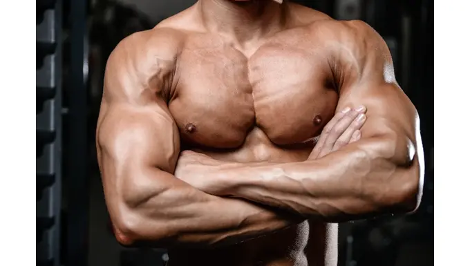 How to Gain Muscle After 45 Male 3