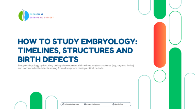 How to Study Embryology Timelines Structures and Birth Defects