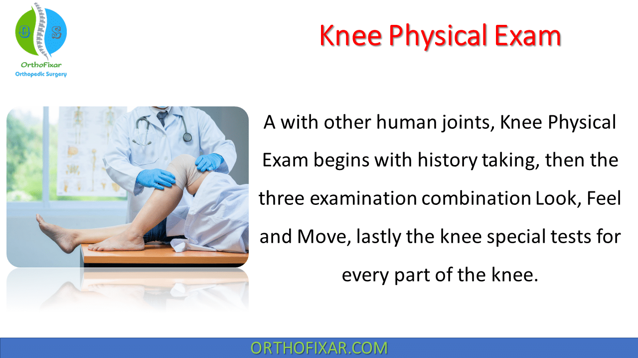  Knee Physical Exam 