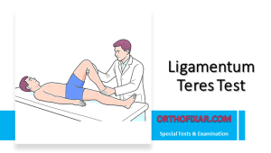 Ligamentum Teres Test