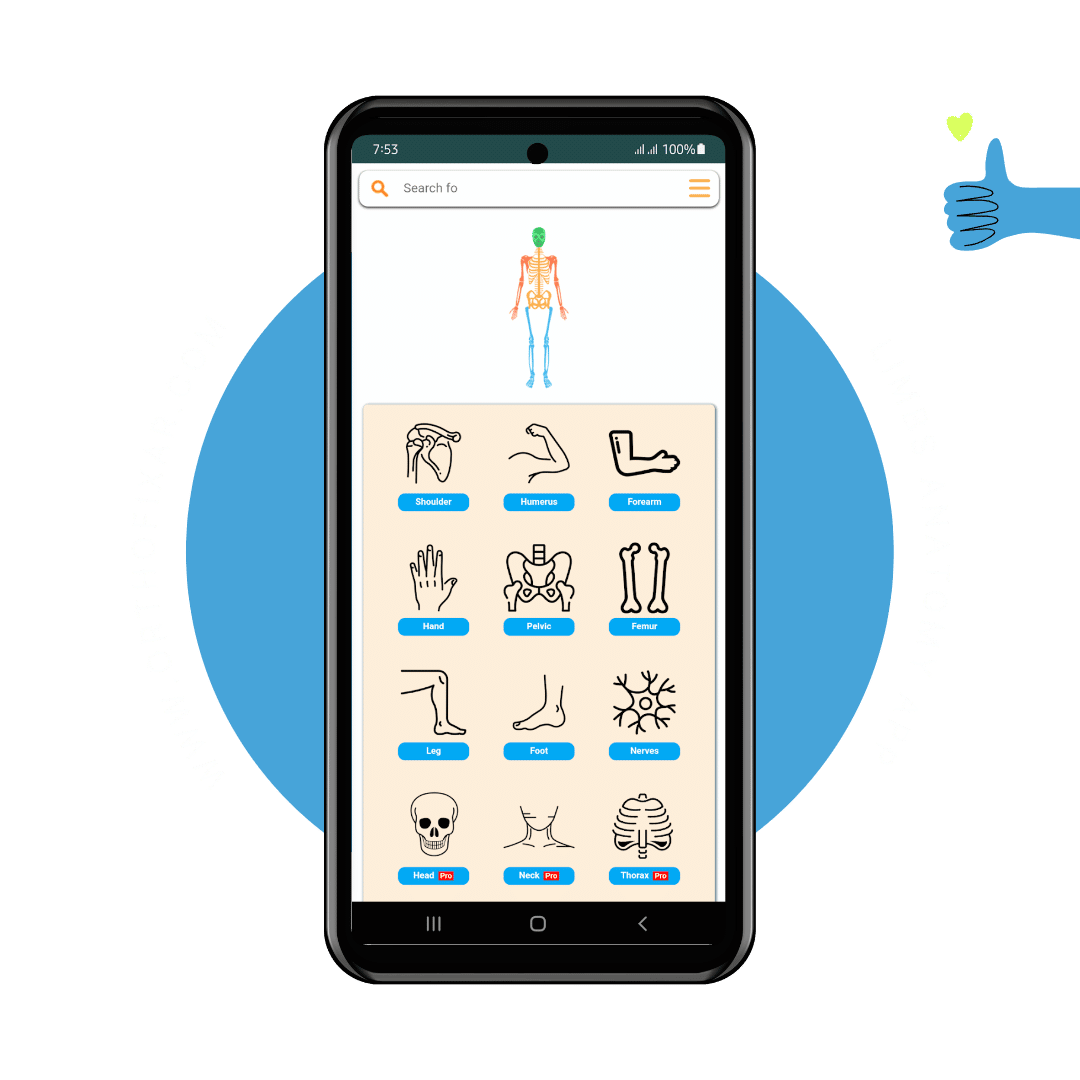  Limbs Anatomy App 
