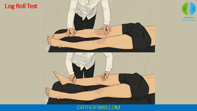 Log Roll Test