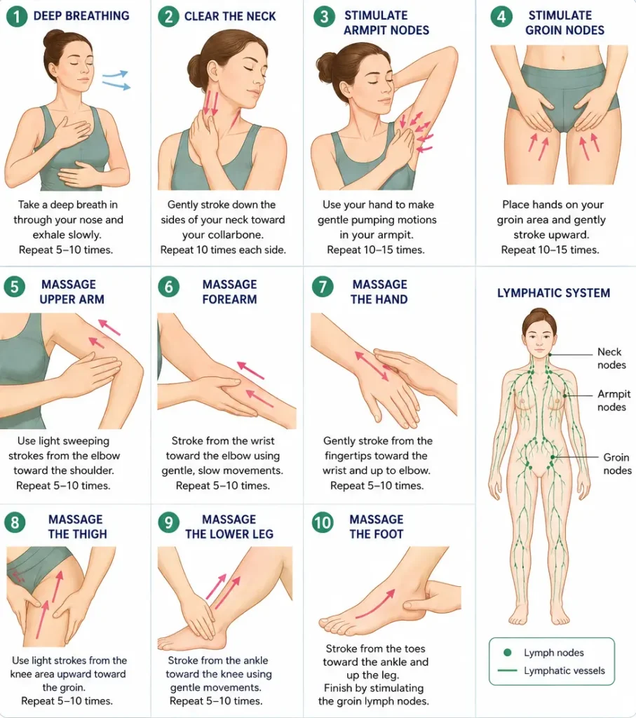 Lymphatic Drainage Massage Steps at Home: Safe Self-Massage Guide 3 Lymphatic Drainage Massage Steps at Home