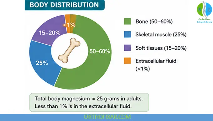 Magnesium Distribution
