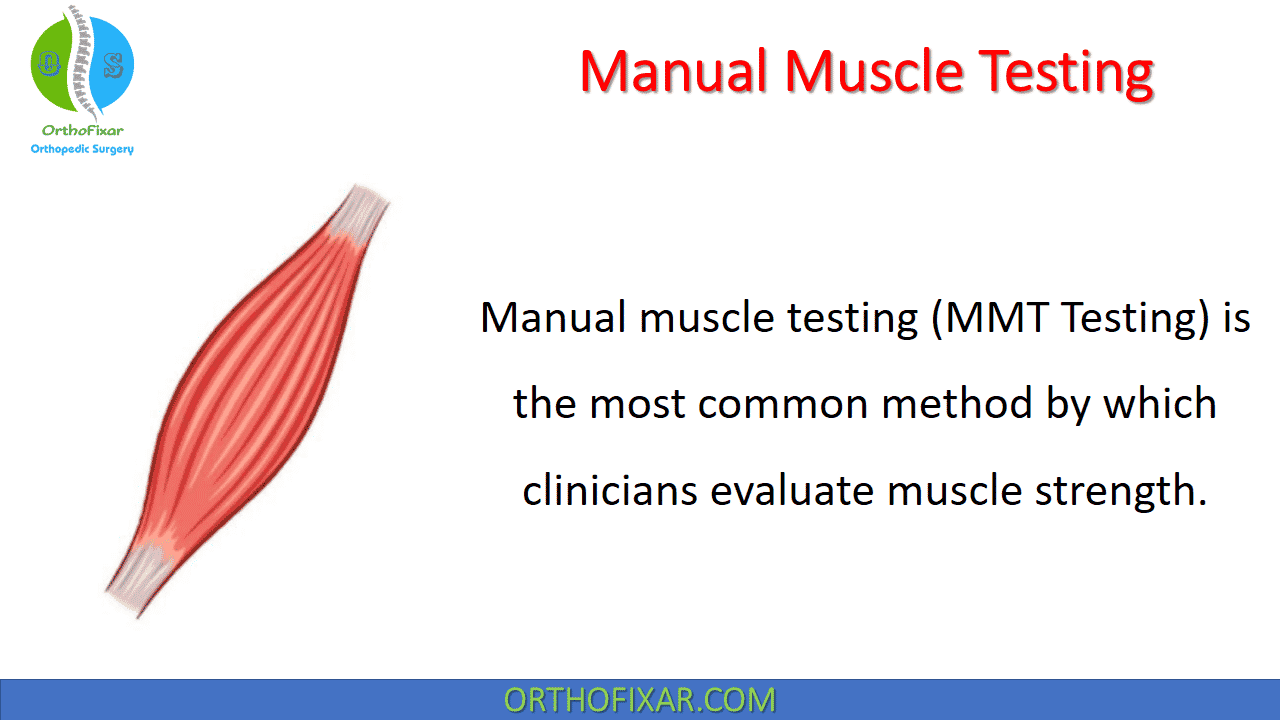  Manual Muscle Testing (MMT Grades) 