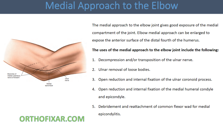 Medial Approach to the Elbow
