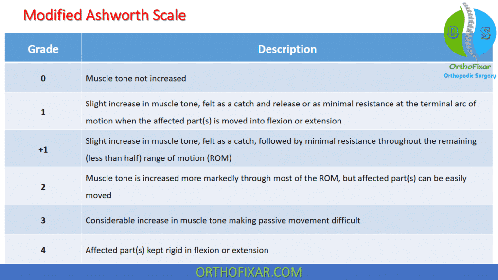 Cerebral Palsy Spasticity Scales | OrthoFixar 2023