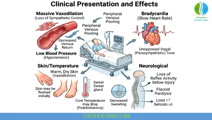 Neurogenic Shock: Causes, Symptoms & Treatment 6 Neurogenic Shock symptoms