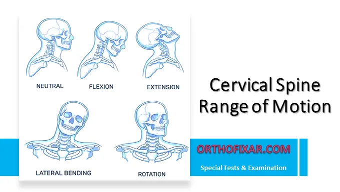 Normal Cervical Range of Motion