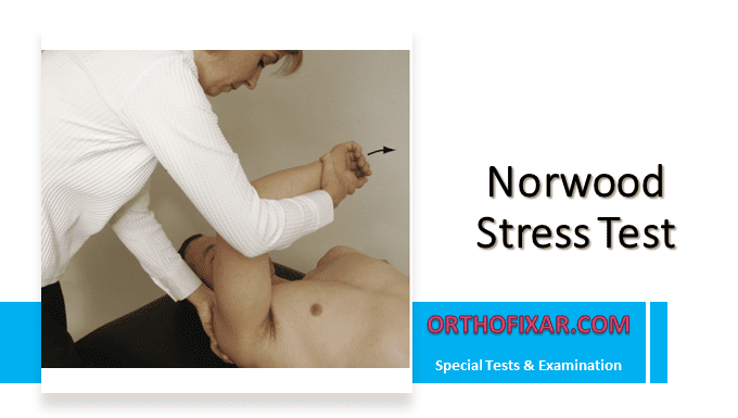 Norwood Stress Test