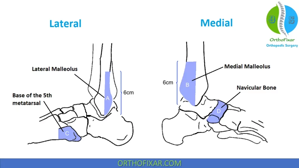 Ottawa Ankle Rules positions