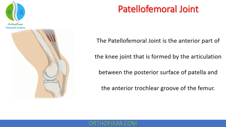 Patellofemoral Joint