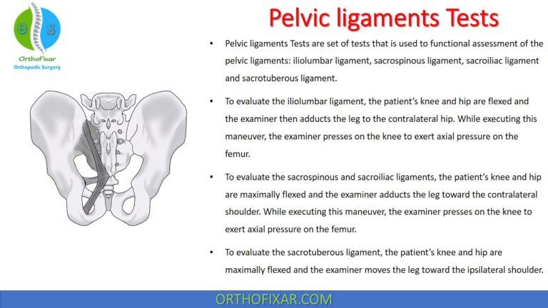 Pelvic ligaments Tests