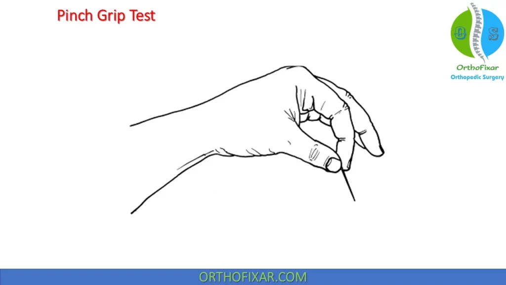 Pinch Grip Test
