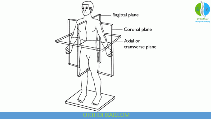 Ultrasound Basics for Medical Students: Orientation and Artifacts 7 Planes of Imaging