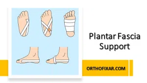 Plantar Fascia Support